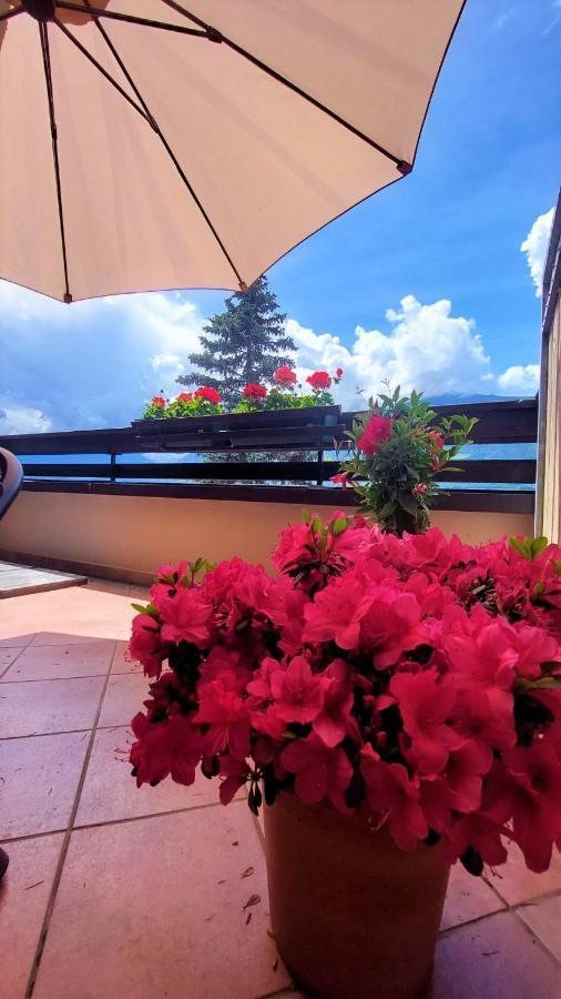 Nora S Home 4 - Panoramic Terrace & Bio Garden Merano Ngoại thất bức ảnh